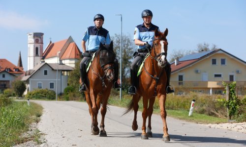 Terorizam mijenja stvari: Slovenija uvodi kontrolu na granici s Hrvatskom