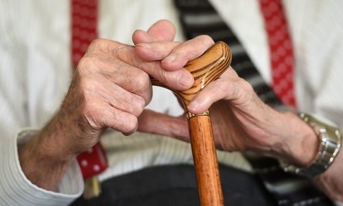 Nova studija: Gljivica koja dovodi do vaginalnih infekcija uzrokuje i Alzheimera