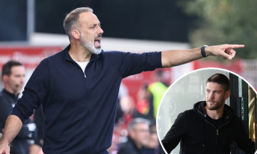 Trener Hoffenheima sve zbunio izjavom o Kramarićevoj ozljedi: Nije riječ o rupturi