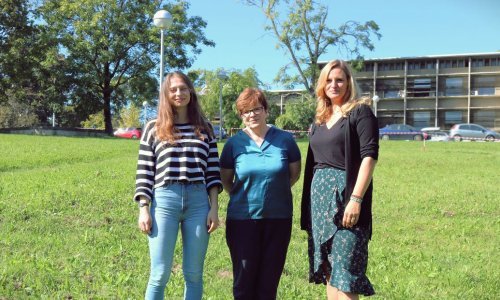 Ruđerovci razvili metodologiju koja bi mogla dovesti do pomaka u razvoju elektroničkih uređaja i senzora