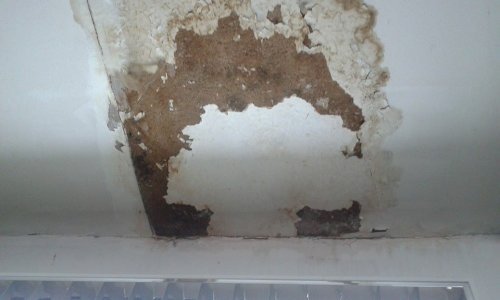 Sramota: Pogledajte gdje borave splitski beskućnici