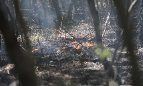 Ove godine najmanji broj požara od 2014.; sačuvano 91 posto hektara šume više od prosjeka