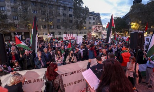 Par stotina okupljenih na skupu podrške Palestini u Zagrebu: Šaljemo poruku mira