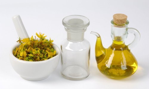 Usporava starenje kože i pomaže kod prehlade: Ovu ljekovitu biljku vrijedi imati