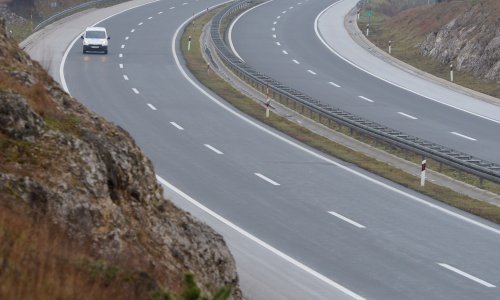 Medvjed ometa promet na djelu A1 između čvorova Ogulin i Brinje