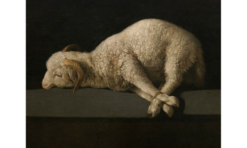 Novi romani u izdanju Petrinih knjiga