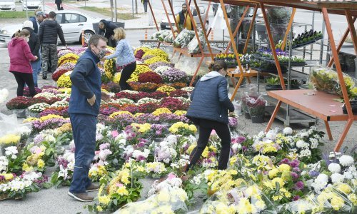 Sisvetsko cvijeće skuplje 30 posto, cvjećari oduševljeni što mogu raditi na blagdan