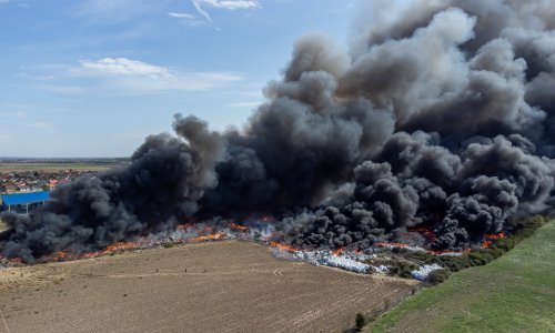 Stigli rezultati analize: voće i povrće iz Osijeka nije rizično za zdravlje