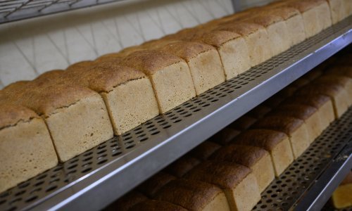 Konačno se zna koliko trgovaca je radilo nedjeljom, a koliko na Sve svete