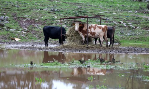 Stiže vodeni val, iz Hrvatskih voda kažu: Najgore će biti u ponedjeljak