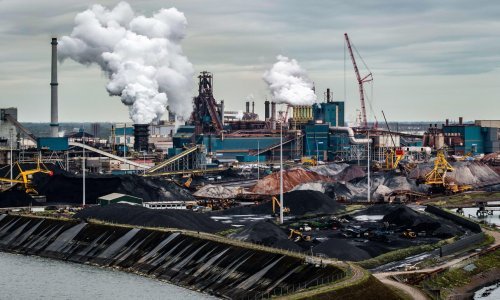 Luda ideja vrijedna milijarde: Bacanjem cementa po livadama do spasa planeta