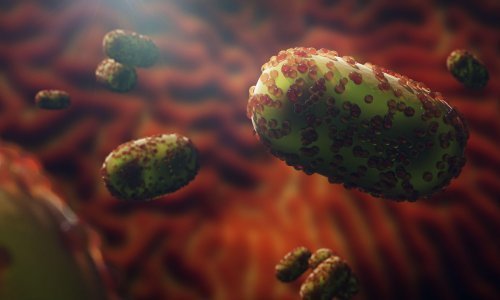 Bolesti koje se prenose sa životinja mogle bi ubiti 12 puta više ljudi do 2050.