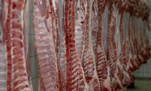 U Splitsko-dalmatinskoj županiji zaplijenjeno 1,4 tone mesa bez papira