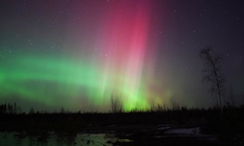 Sunčeve baklje: Dijelove Rusije i Ukrajine okupala grimizna polarna svjetlost