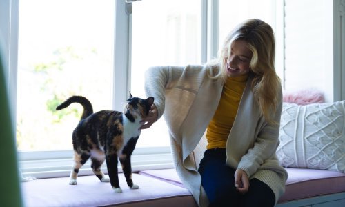 Zanima vas što vam vaša mačka poručuje? AI bi to uskoro mogao prevesti