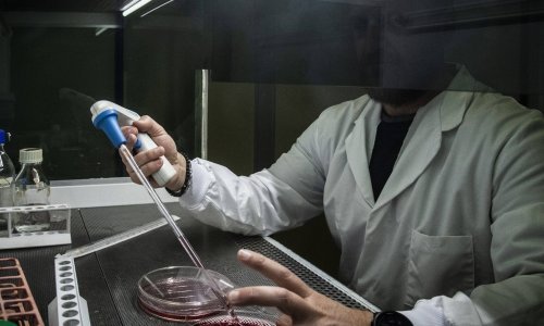 Zašto Bruxelles želi ublažiti pravila za GMO? Znanstvenici podržavaju, trgovci nisu sretni