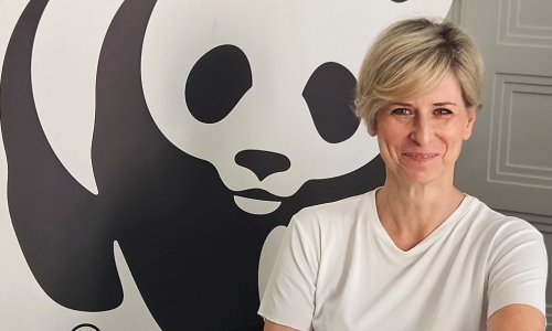 'Mediteransko područje zagrijava se i do 25 posto brže od globalnog prosjeka'