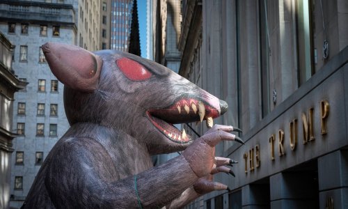 New York je u borbi protiv štakora upotrijebio nemilosrdno oružje. Zasad djeluje