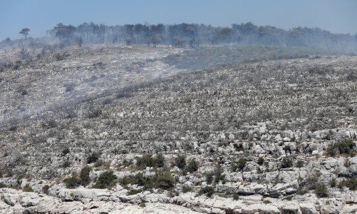 Na Hvaru buknuo požar, u gašenju pomagao i kanader