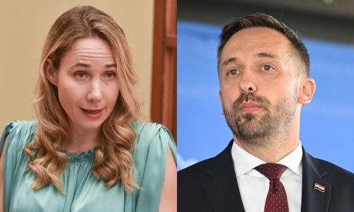 Piletić najavio priznanje majčinstva, Most na nogama: 'Otvara se rupa u pravnom poretku'