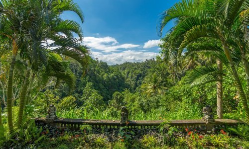 U Indoneziji pronađen sisavac koji nije viđen više od 60 godina