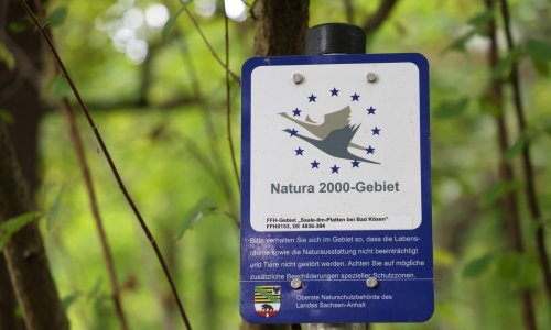 Pao dogovor u EU-u o spornoj uredbi o obnovi prirode