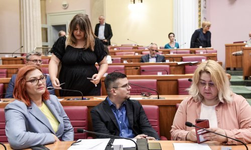 Zastupnica Socijaldemokrata: 'Treba omogućiti posvajanje djece istospolnim parovima'