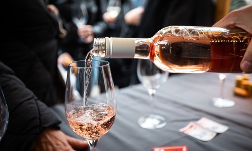 Povijest stoljetne tradicije: Tko je bio sv. Martin i kakve veze ima s guskama?