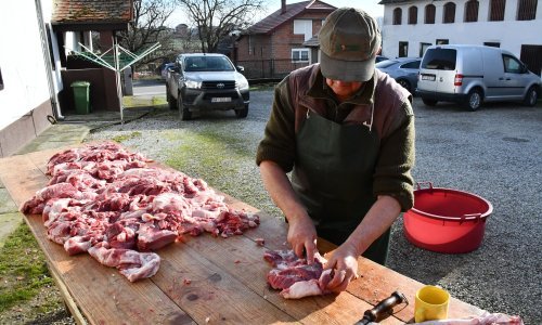 Posljedice svinjske kuge: Ove sezone kulen, čvarci i kobasice samo od mesa iz dućana