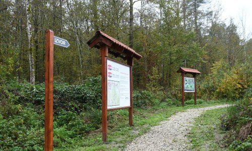 Istraživanje: Kontraproduktivno da tvrtke 'plaćaju' svoje emisije ugljika sadnjom drveća