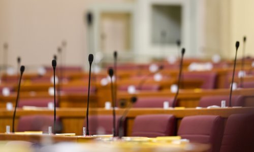 Sabor se ne protivi razrješenju zamjenice pravobraniteljice za djecu Ivane Buljan
