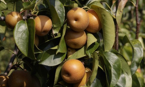 Kupci oprez, povlači se jedan proizvod iz trgovina