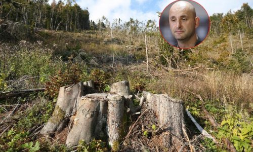 'Smrekov potkornjak ne pita za boju članske iskaznice ili stranku'