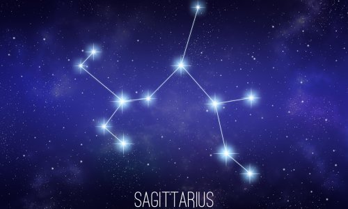 Ovaj horoskopski znak je nepopravljiv optimist koji diše život punim plućima