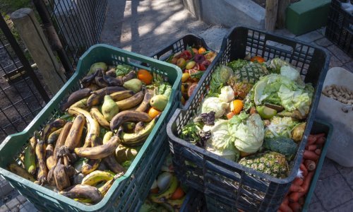 Film koji otvara oči: Duboko je šokantno kada vidite planine hrane koja se baca