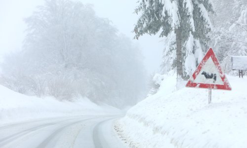 Snažna snježna nevremena pogodila Srbiju, Bugarsku i Rumunjsku