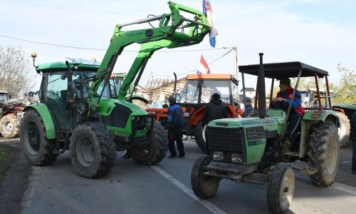 Problemi kod graničnih prijelaza Šamac i Županja zbog prosvjeda svinjogojaca