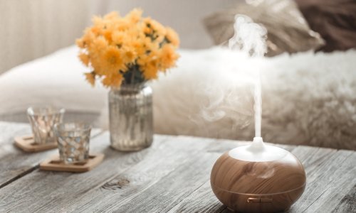 Ured u zen stilu: Kako povećati produktivnost uz pomoć difuzora