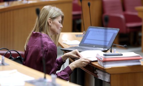 Glasovac i Raukar Gamulin: Nemamo riješeno zbrinjavanje žrtava nasilja u obitelji