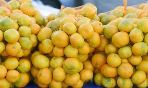 BiH zabranila uvoz dvije tone mandarina iz Hrvatske zbog pesticida