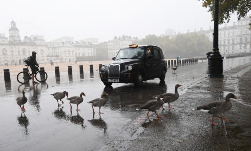 Uber želi slavne londonske crne taksije, udruga taksista se protivi