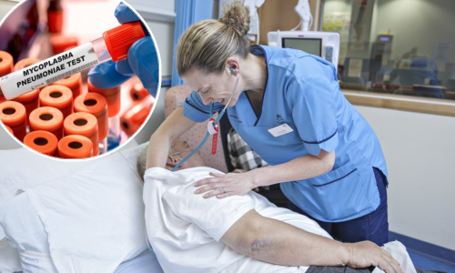 Epidemija atipične upale pluća i u Danskoj: Što je Mycoplasma pneumoniae