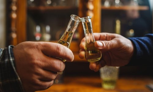 Rakiji snažno porasla popularnost, a evo što je prvi izbor ljubitelja žestica