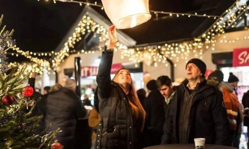 Jelena Rozga, Danijela Martinović i ostale zvijezde stižu u Nininu čarobnu Shhhumu