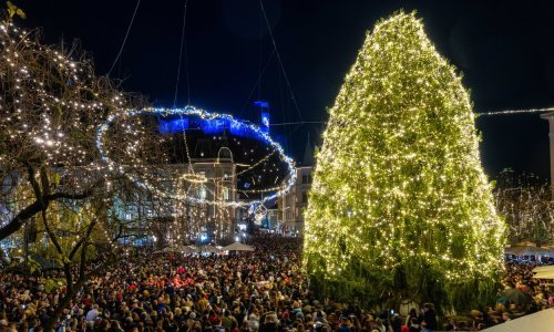 U Ljubljani božićno drvce nazvali Tina, a onda je erumpirao bijes: Tko je ovdje lud, ovo čine namjerno