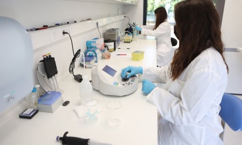 Ruđerovci predstavili rezultate projekta kvalitativne i kvantitativne analize proteina