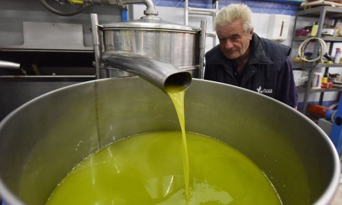 Maslinovo ulje nije se nikad više kralo i krivotvorilo, stručnjaci: 'Bit će još gore!'