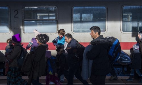 U BiH od početka godine ušlo više od 30.000 ilegalnih migranata