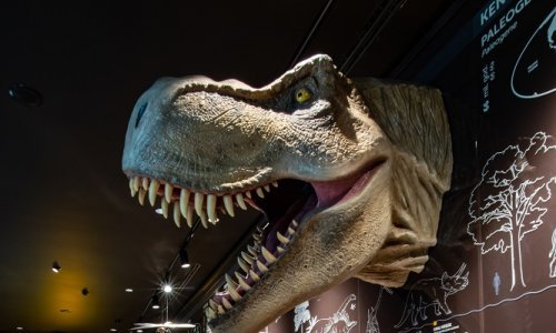 Zbog čega na zimske praznike u Slavoniju i Podravinu?