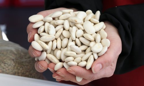 U još jednoj namirnici pronađen zabranjeni pesticid, kamion vraćen s granice